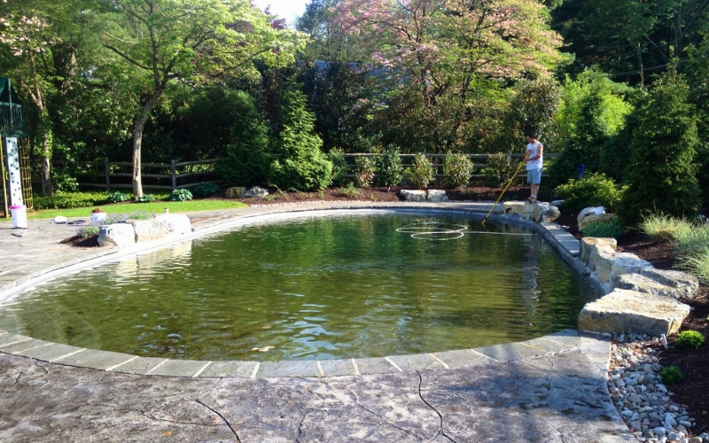 Pool service and maintenance